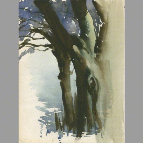 Water colour of trees